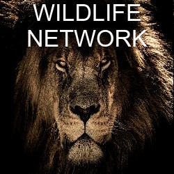 Wildlife Network